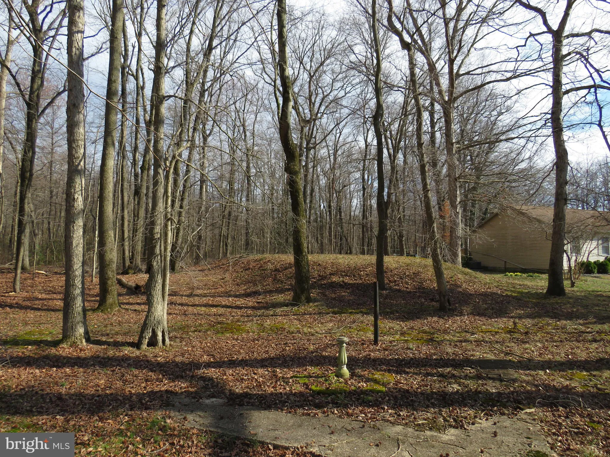 Additional image 60 of 1126 Myers Drive, Hartly, DE 19953