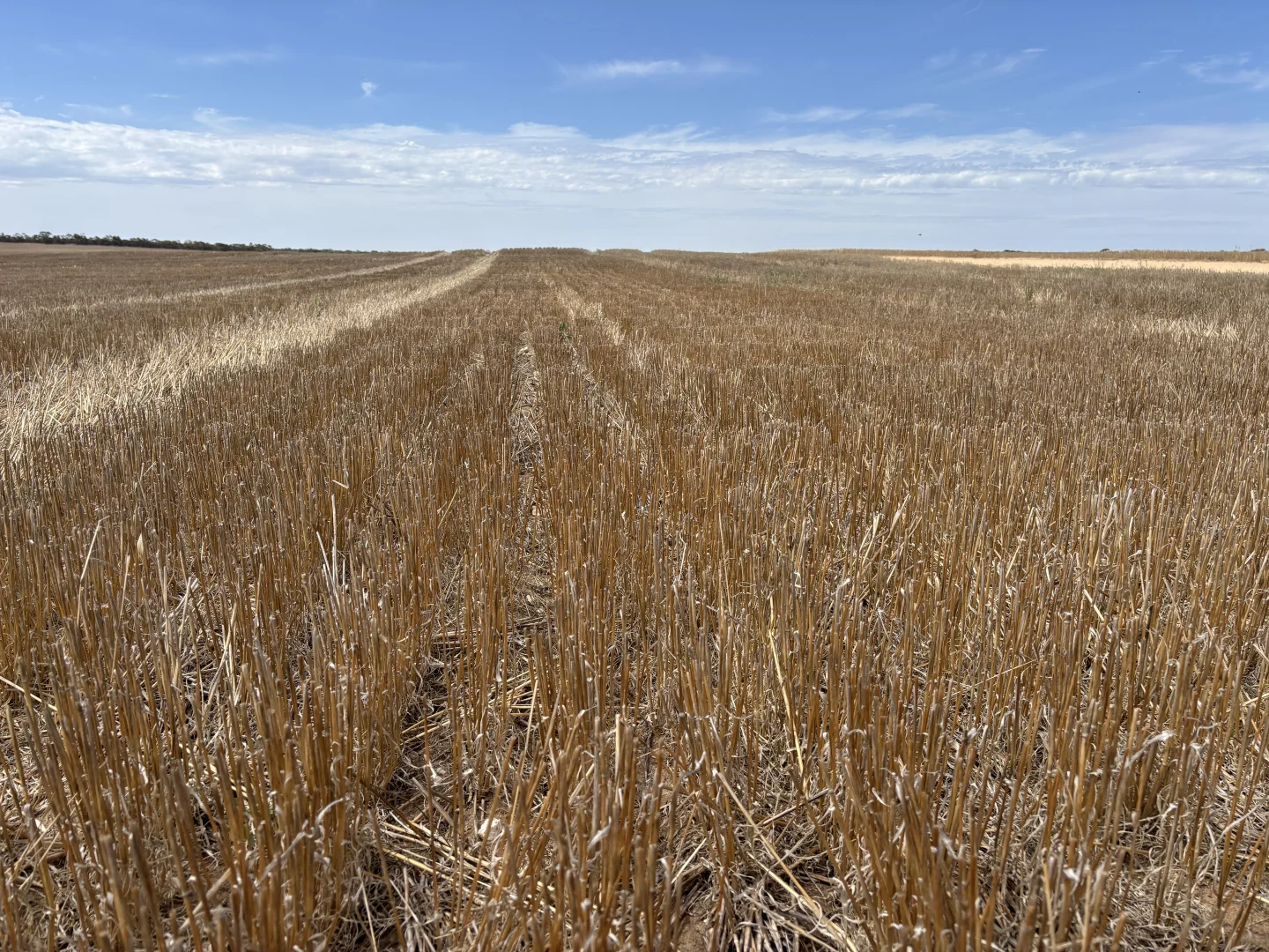 Additional image 7 of 9723 Tod Highway, Lock SA 5633