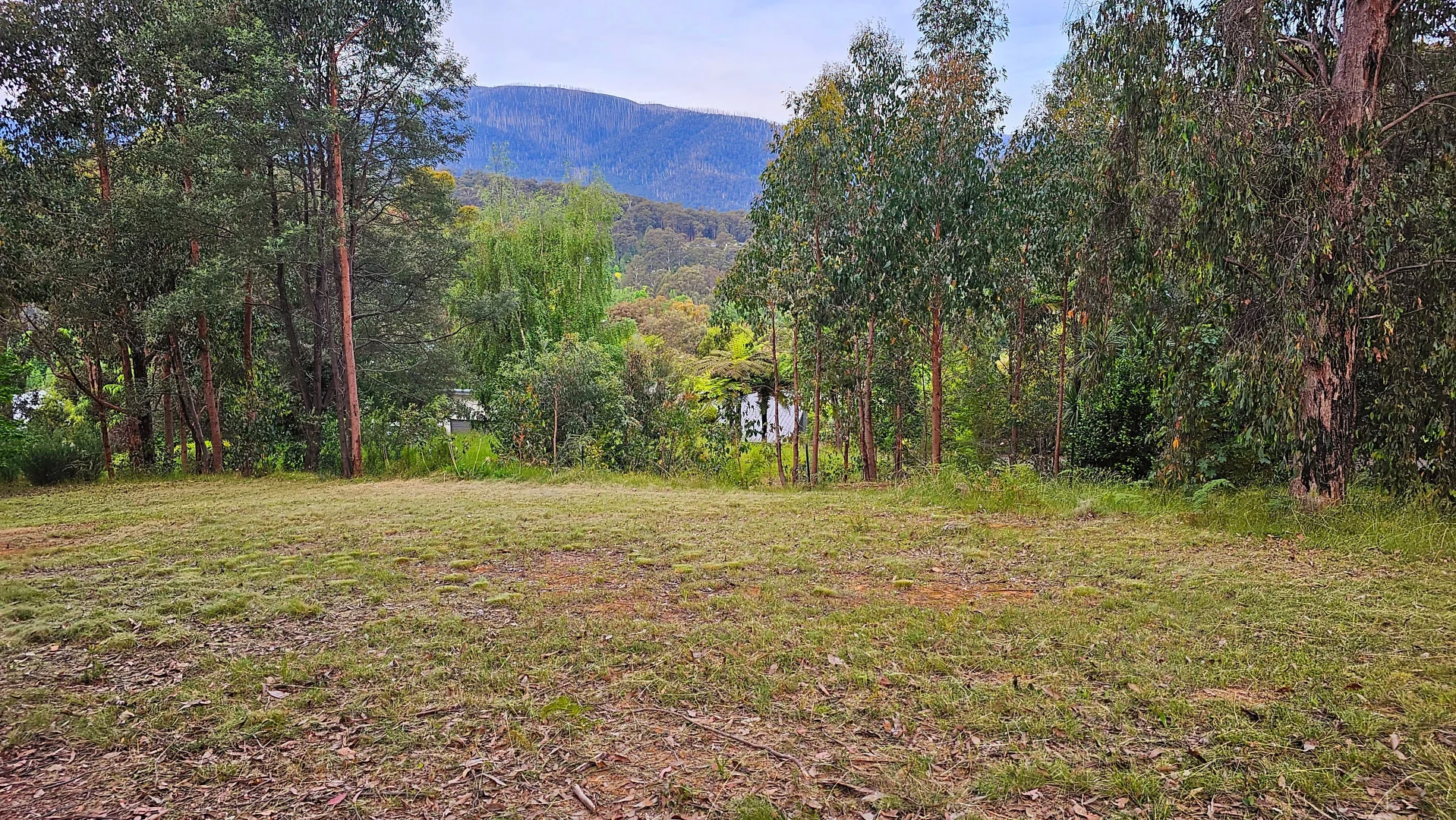 Additional image 3 of 1 Kings Road, Marysville VIC 3779