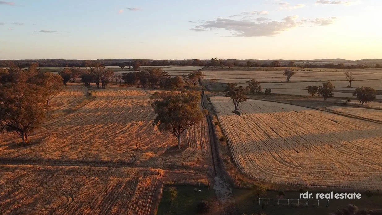 Additional image 23 of 354 Pollocks Lane, Little Plain, Inverell NSW 2360