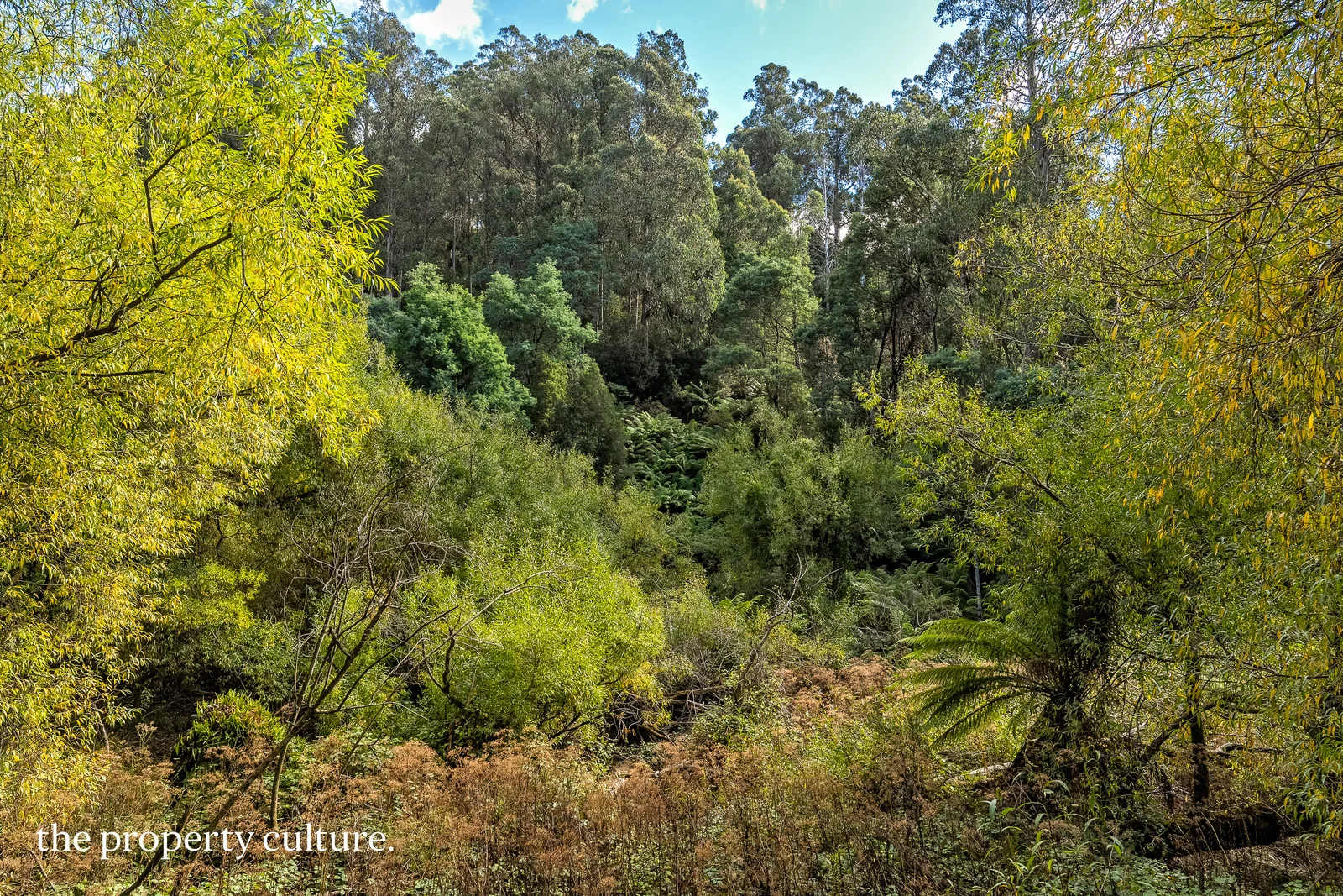 Additional image 4 of 126 New Road, Franklin TAS 7113