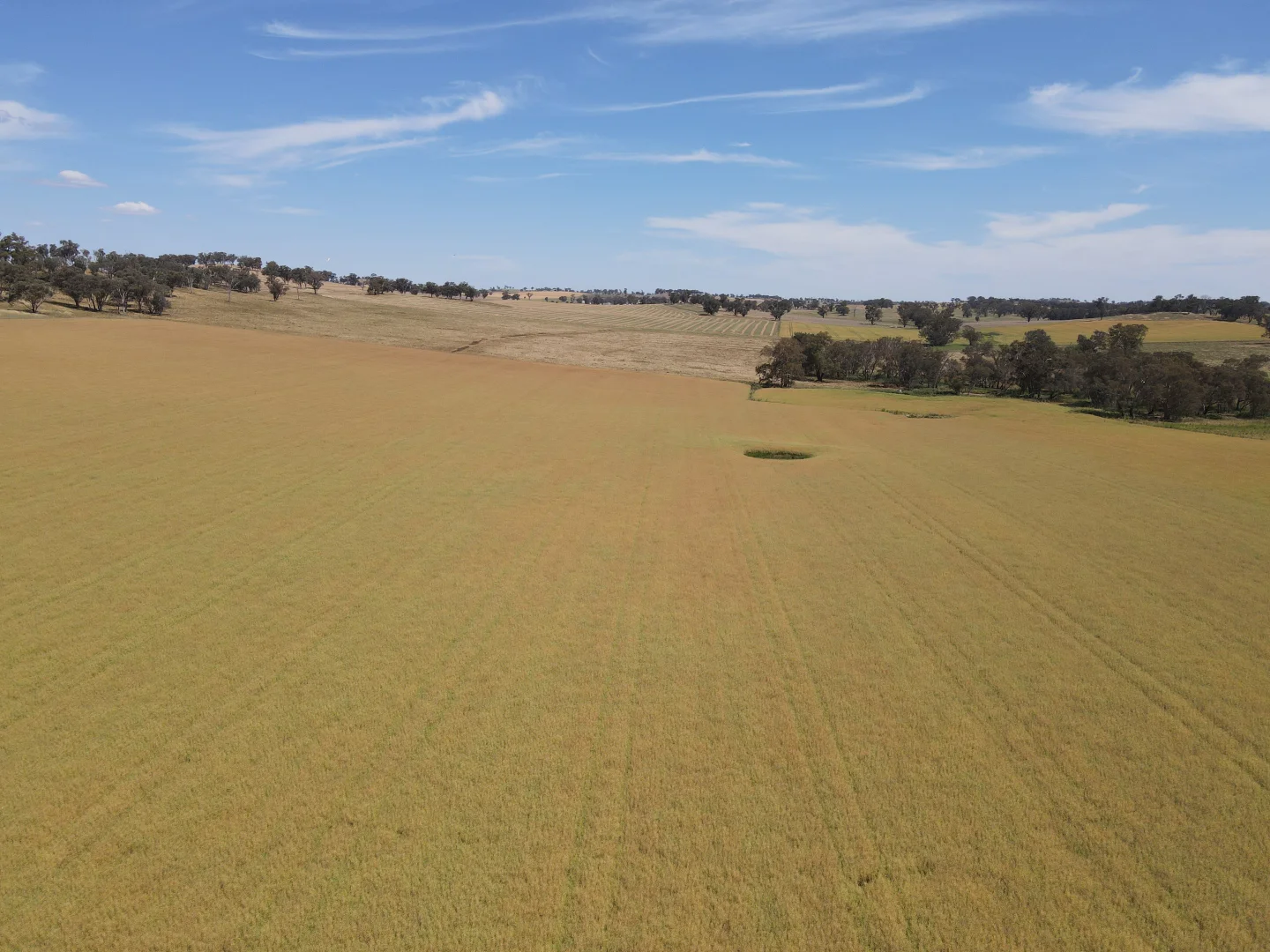 Additional image 9 of 1 Tremains Lane, Toogong NSW 2864