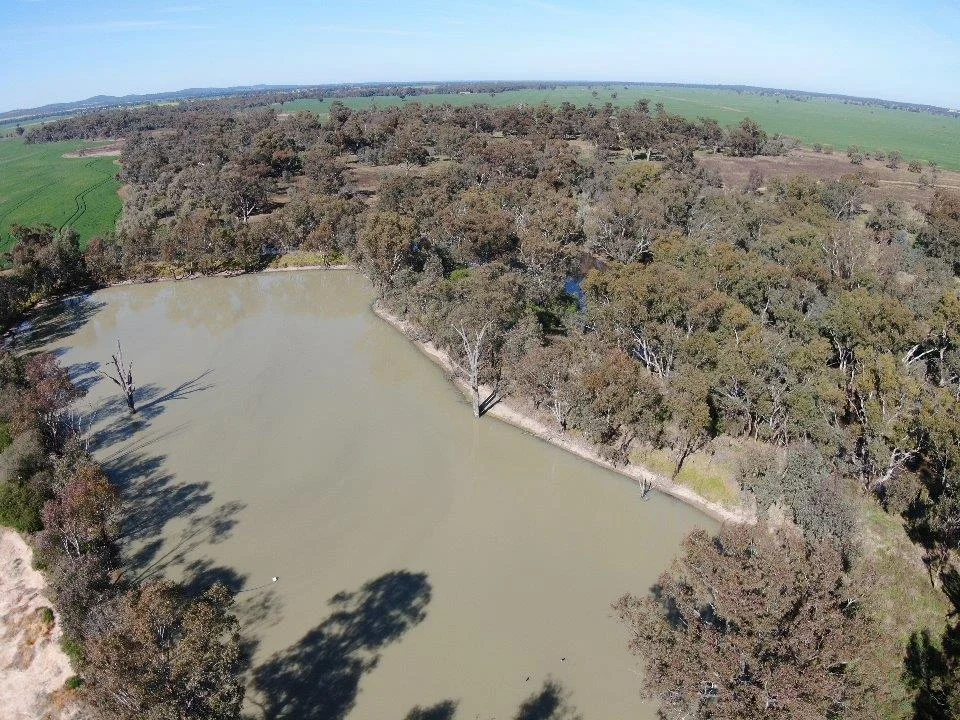 Additional image 6 of 'Allendale' 233 Waarbilla Road, Barmedman NSW 2668