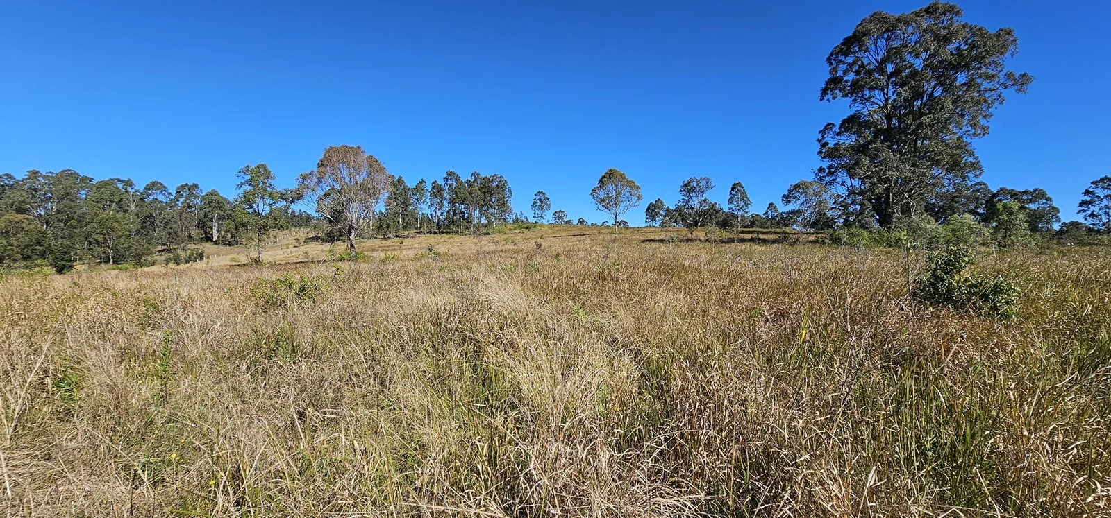 Additional image 14 of 981 Old Dyraaba Road, Lower Dyraaba NSW 2470