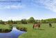 Additional image 11 of Floriston Gardens, Ashley, New Milton, Hampshire, BH25