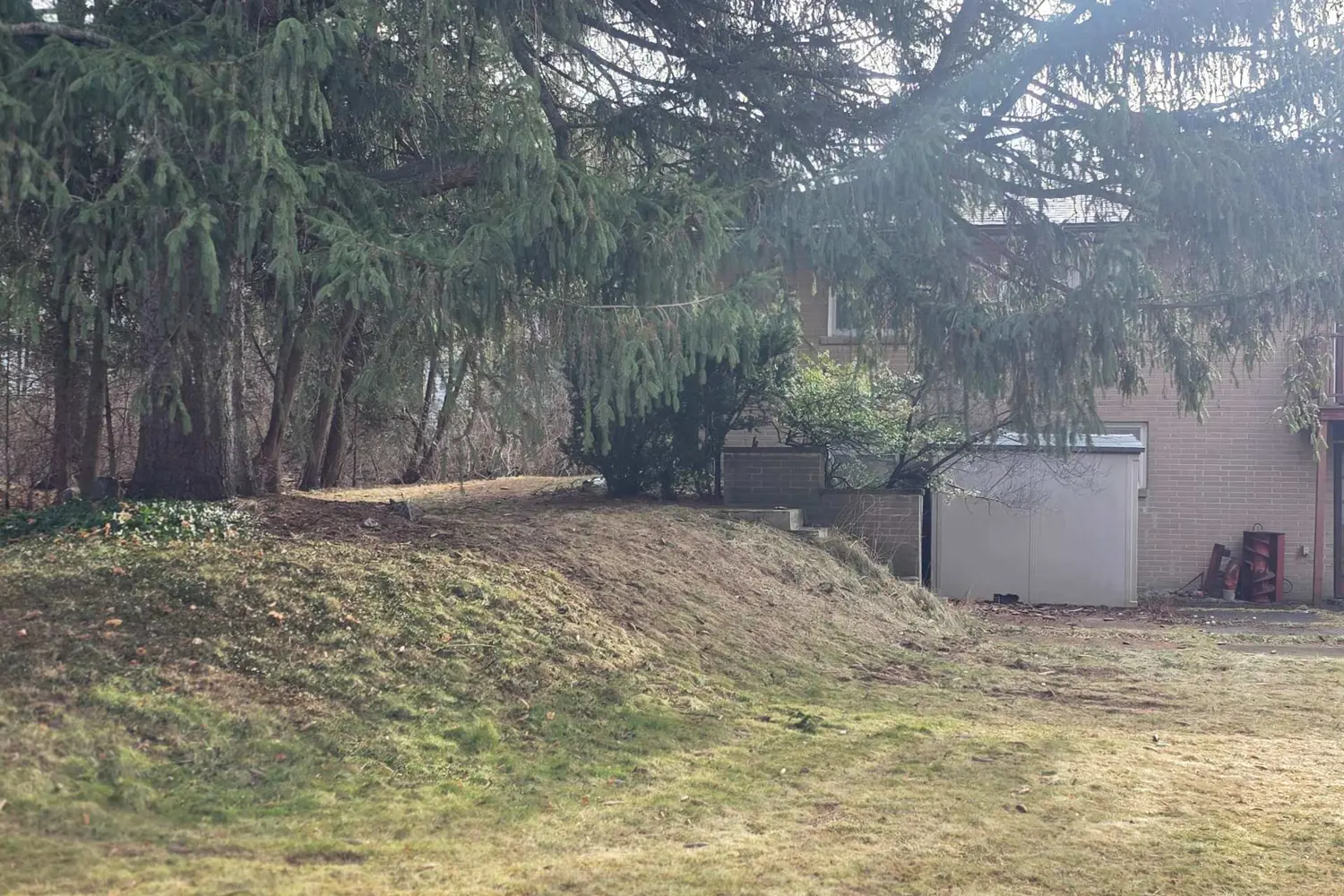 Additional image 5 of 541 Vanessa Drive