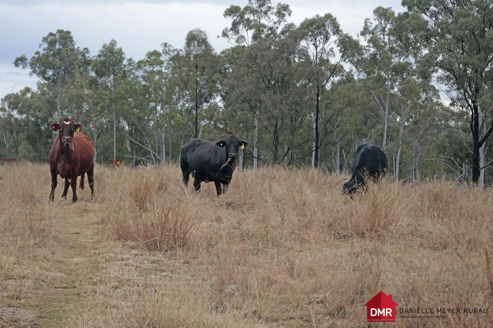 Additional image 20 of Lot 33-35 Bilboolan Road, Eidsvold QLD 4627