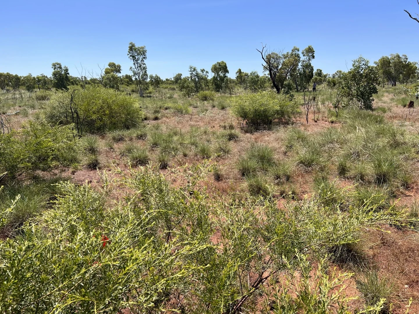 Additional image 20 of Benmara Station, Creswell NT 0852