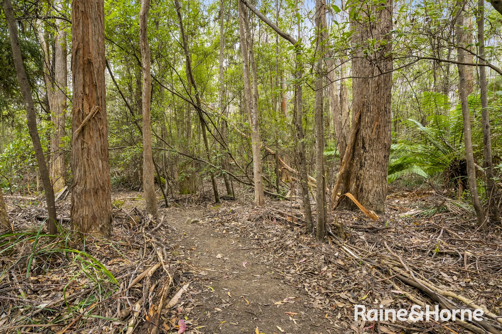 Additional image 26 of 2395 Nubeena Road, Port Arthur TAS 7182