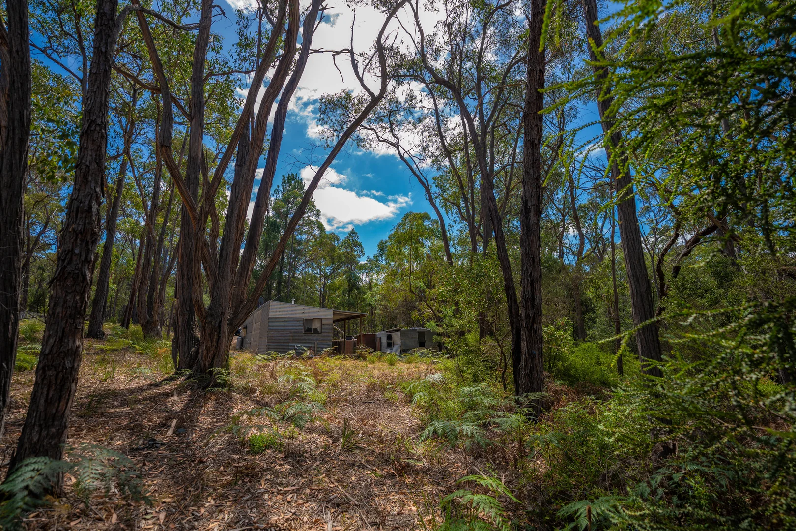 Additional image 9 of 30 Woodland Drive, Scarsdale VIC 3351