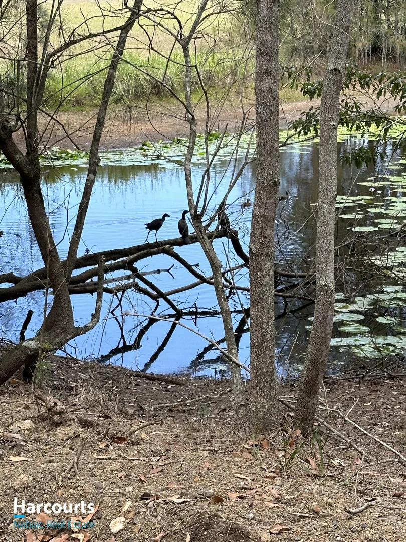 Additional image 21 of 94 bullocky way, Failford NSW 2430