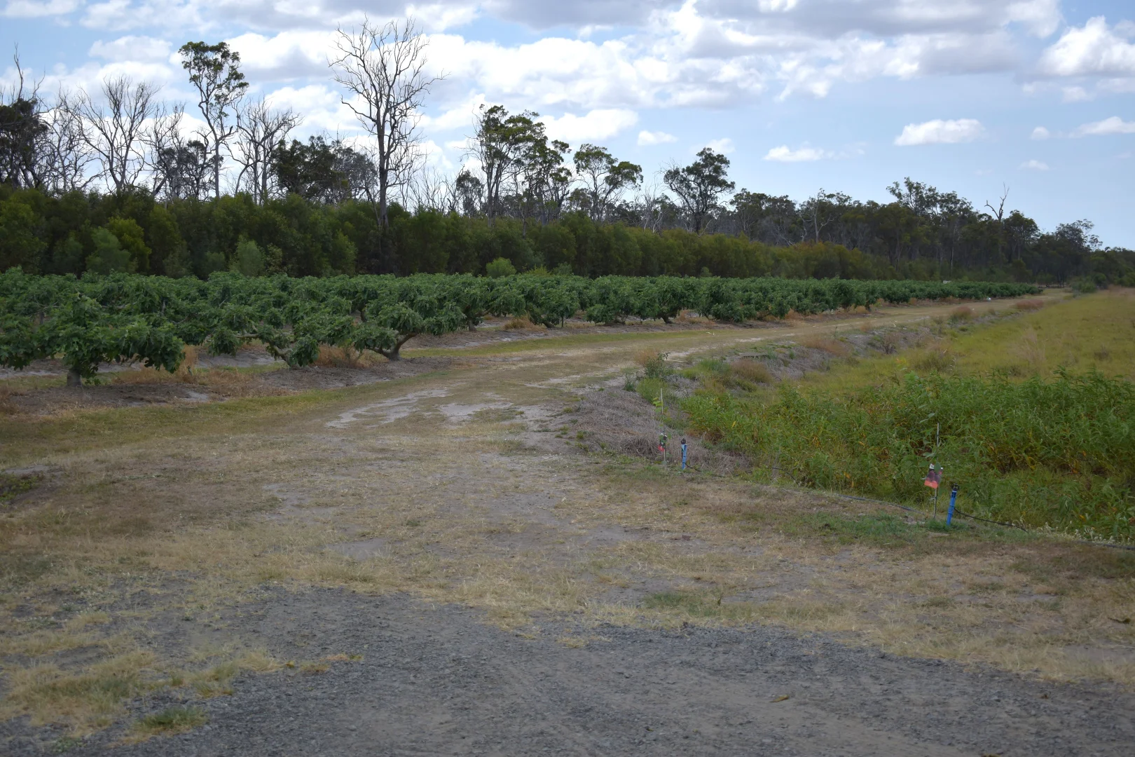 Additional image 4 of 135 Newlands Road, North Gregory QLD 4660