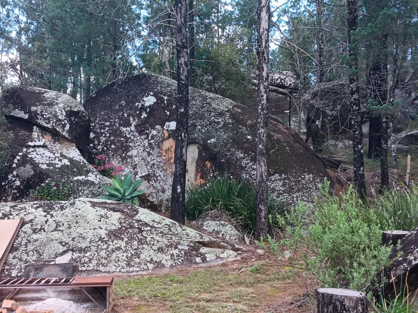 Additional image 30 of 115 Smithfield Mundoey Road, Smithlea QLD 4385