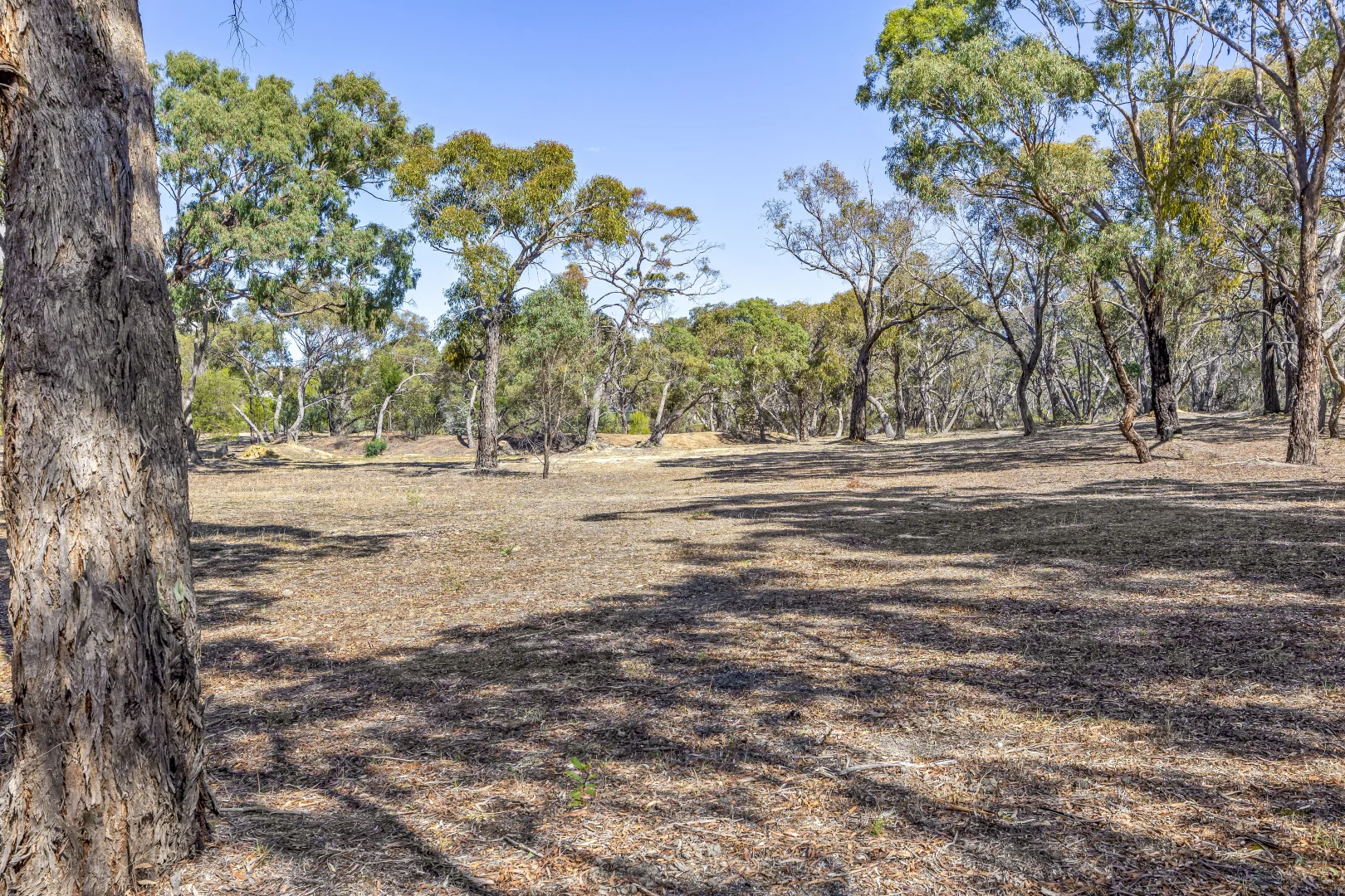 Additional image 9 of Lot 1 Morella Road, Ararat VIC 3377