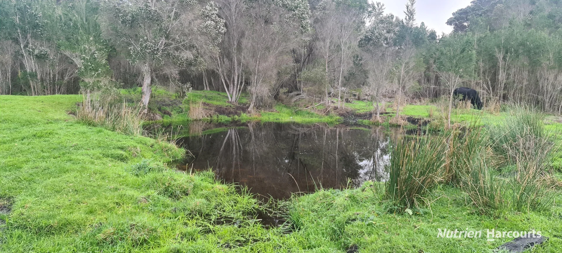 Additional image 7 of 526 Board Road, Kordabup WA 6333