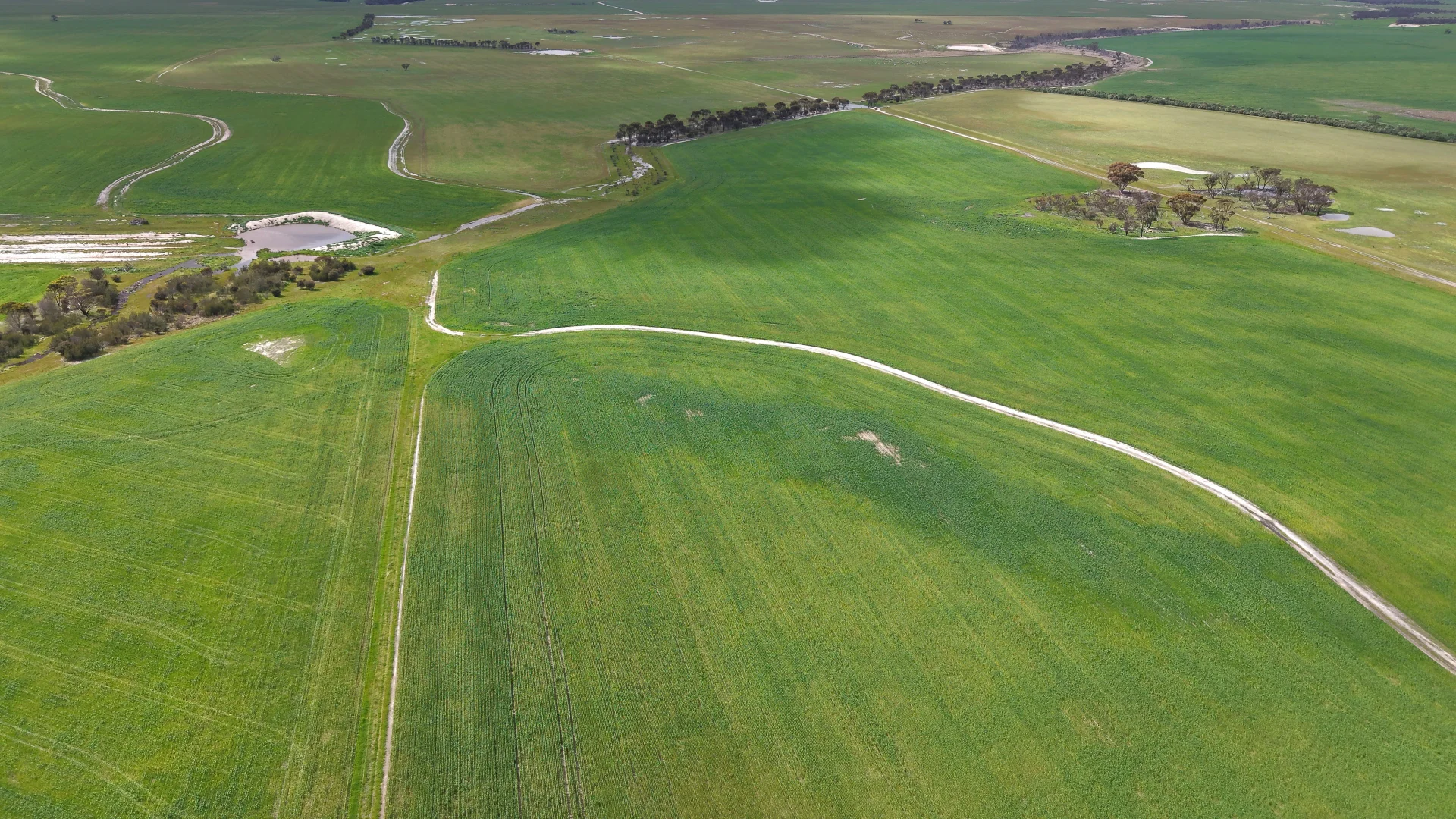 Additional image 36 of 31541 South Coast Highway, Jerramungup WA 6337
