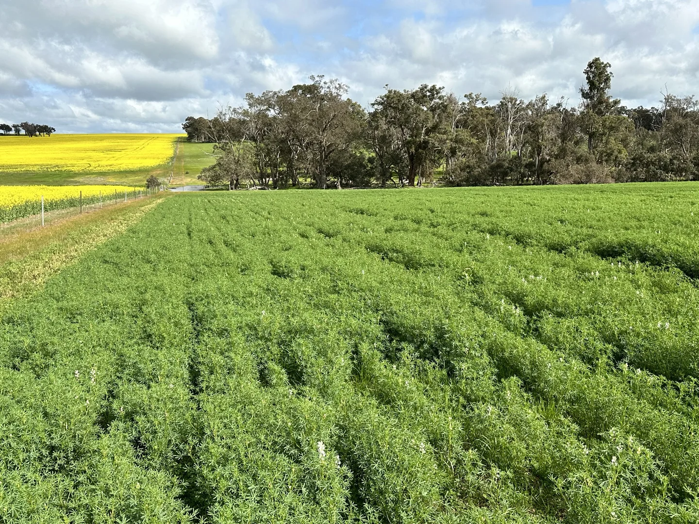 Additional image 27 of 331 Clitchbury Road, Frankland River WA 6396