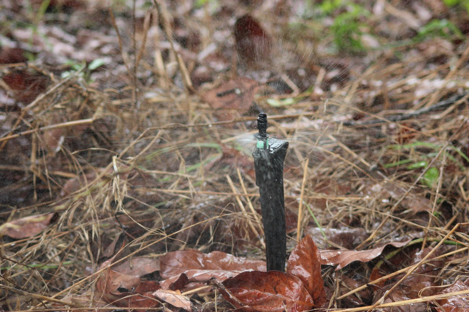 Additional image 33 of 107 Cherry Creek Road, Cherry Creek QLD 4314