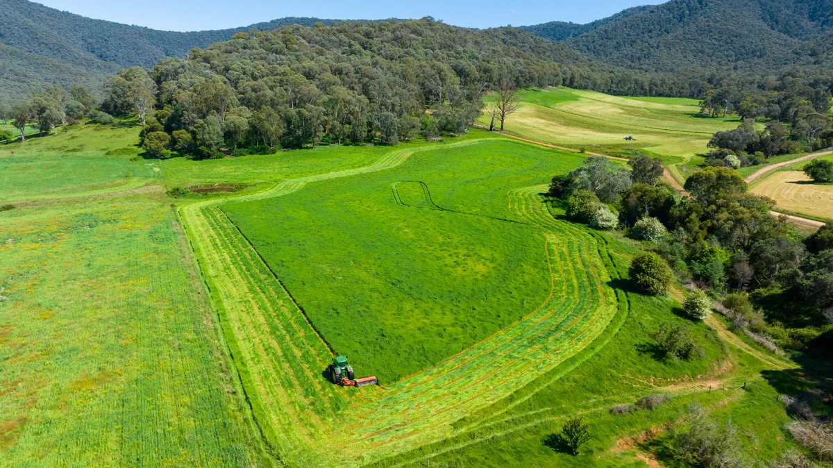 Additional image 8 of 3082 Omeo Highway, Tallandoon VIC 3701