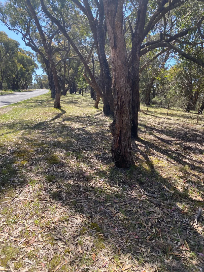 Additional image 3 of 37 Eastern Ridge, Wallan VIC 3756