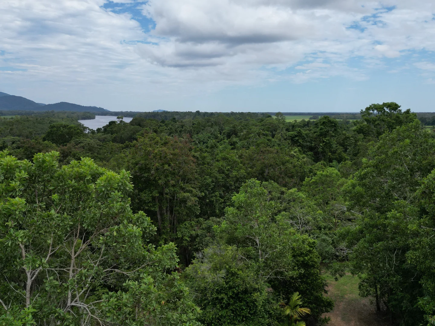 Additional image 17 of 2869 Mossman Daintree Road, Lower Daintree, Daintree QLD 4873
