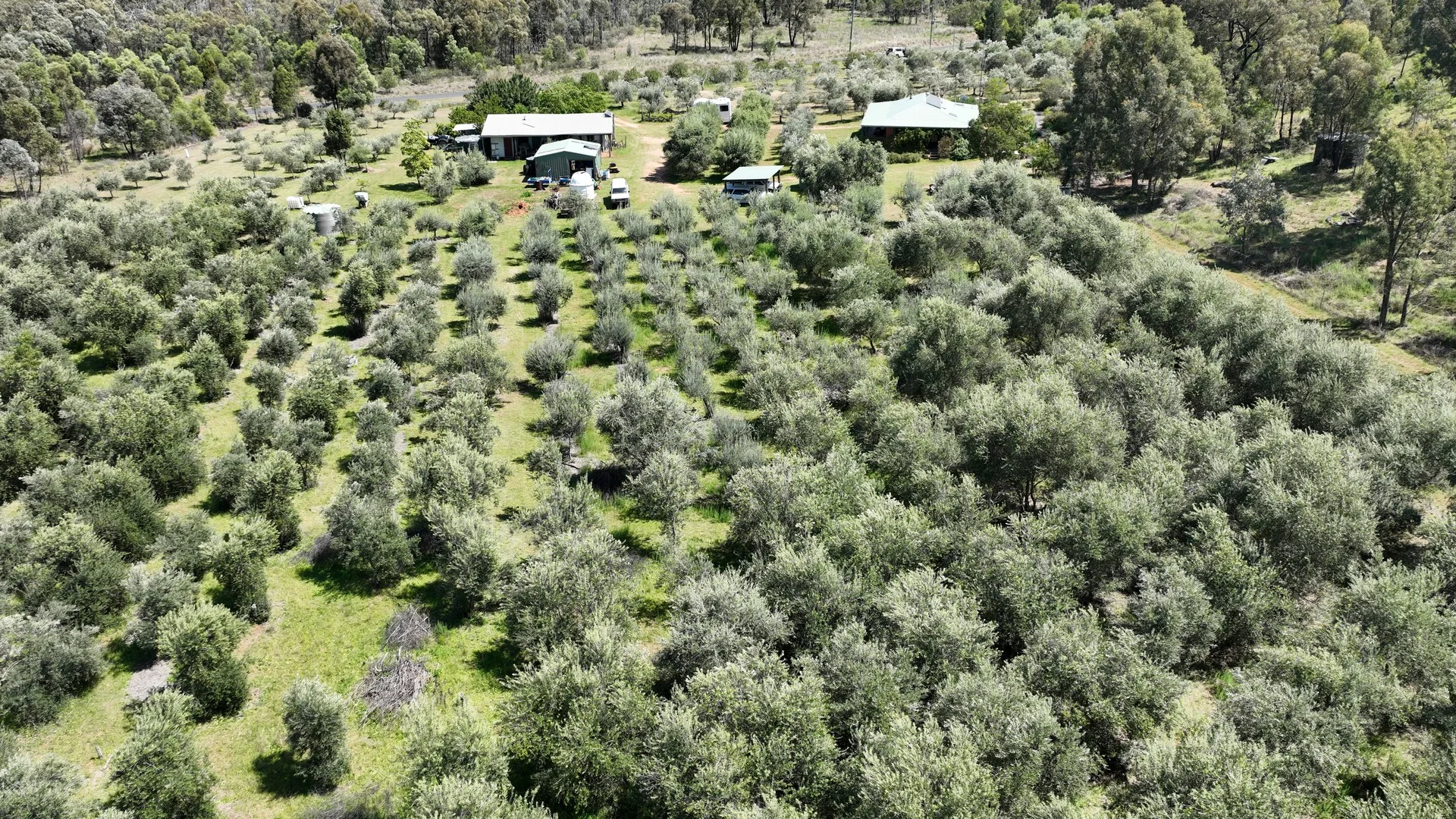 Additional image 3 of 20 Kurrajong Road, Coonabarabran NSW 2357