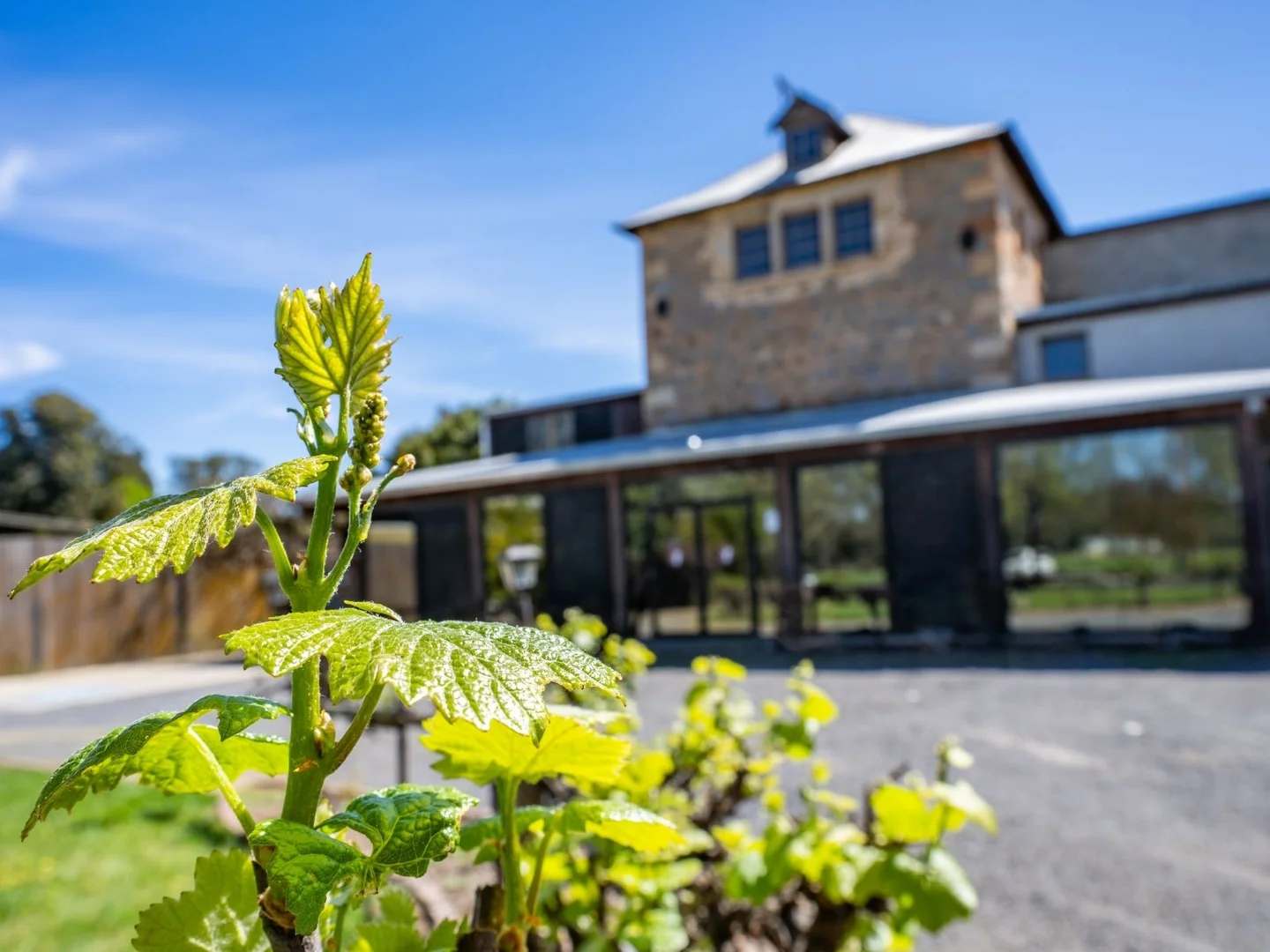 Additional image 11 of 6 Vaux Street, Cowra NSW 2794