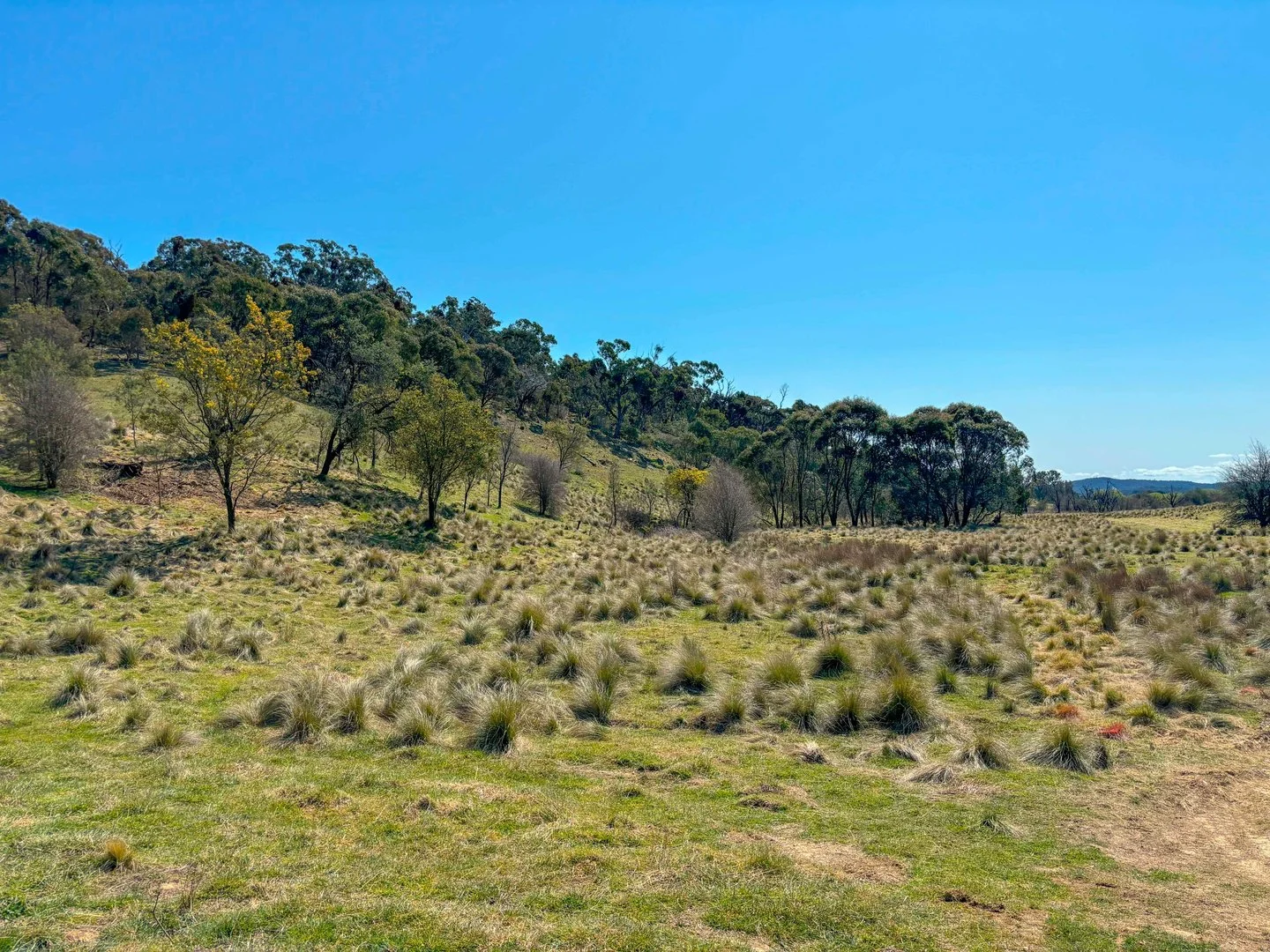 Additional image 33 of 22 Top Flat Lane, Wamboin NSW 2620