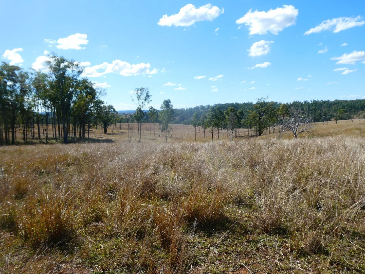 Additional image 23 of NRN BEERON ROAD, Beeron QLD 4626