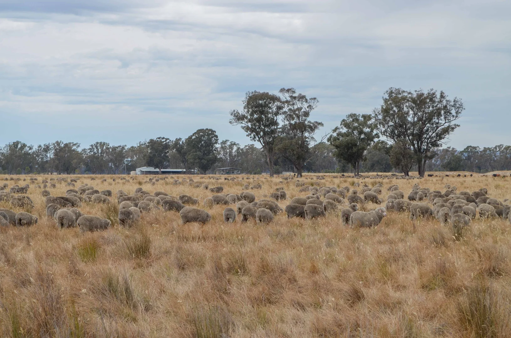Additional image 6 of 2253 Dargalong Road, Nagambie VIC 3608
