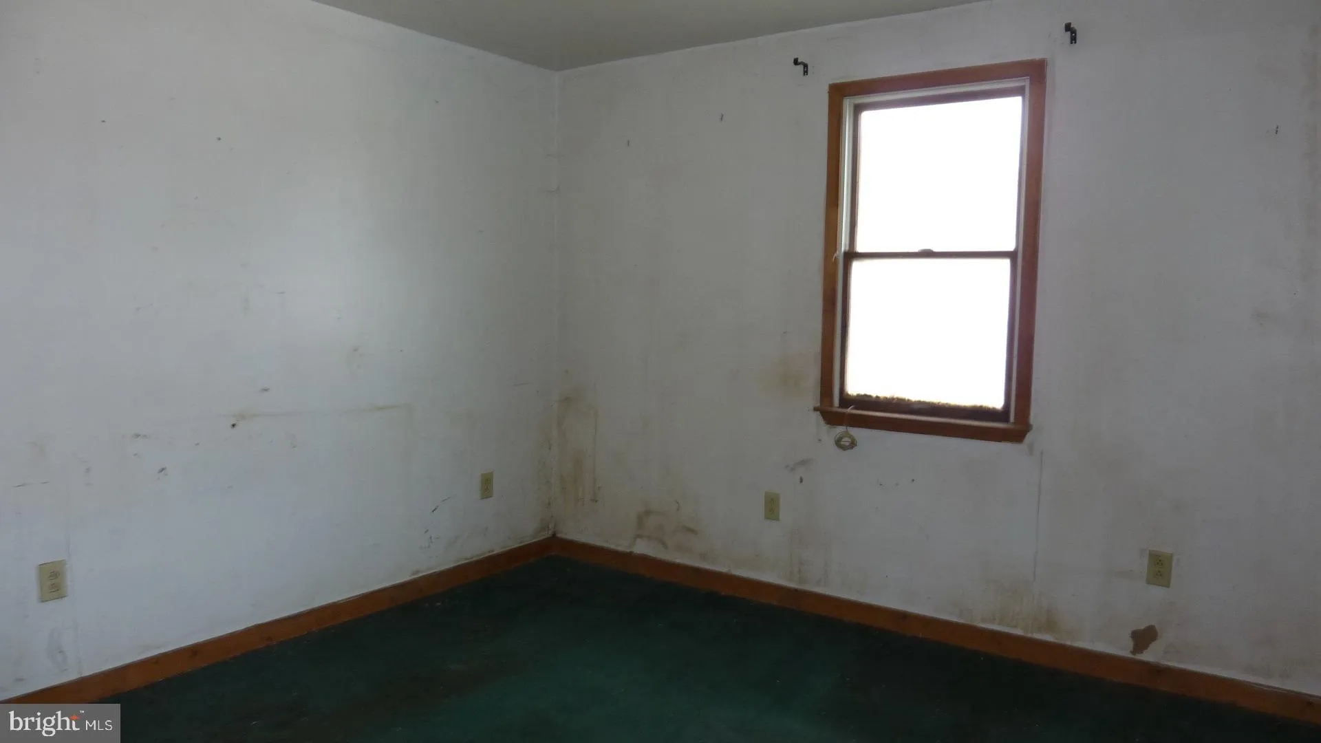 Additional image 22 of 41 Commerce Street, Cheswold, DE 19936