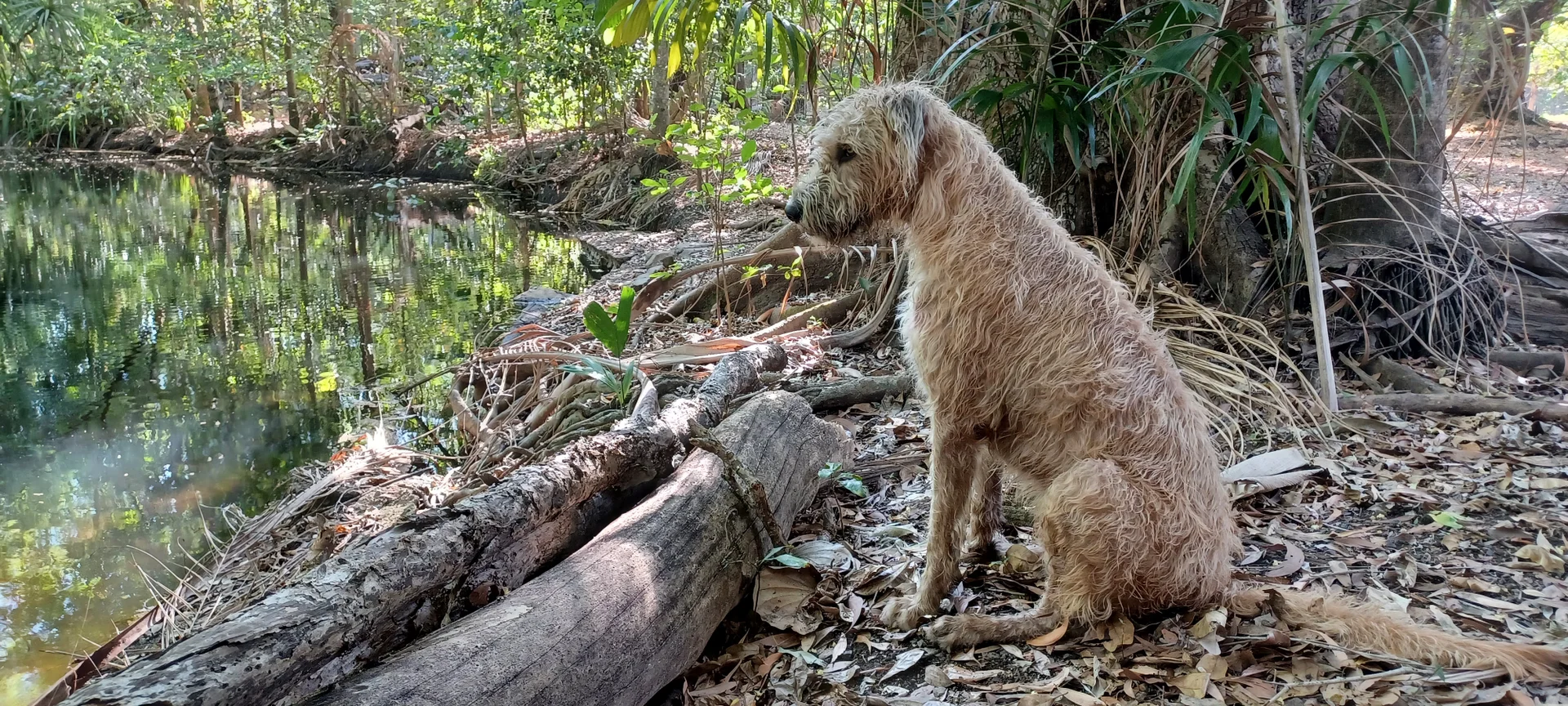 Additional image 18 of 685 Miles Road, Eva Valley NT 0822