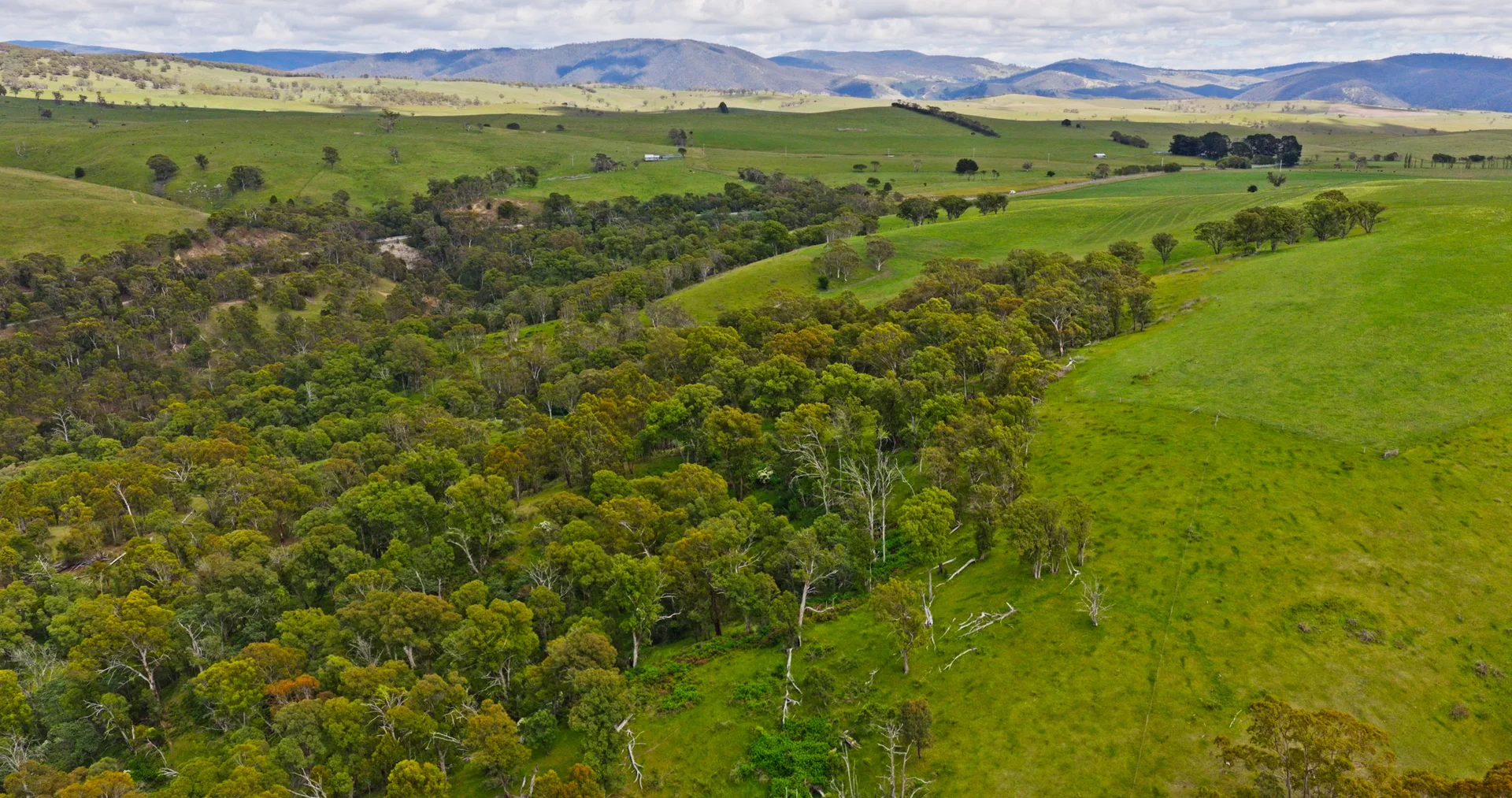Additional image 9 of Lot 2 - 289 Tongio Gap Road, Tongio VIC 3896