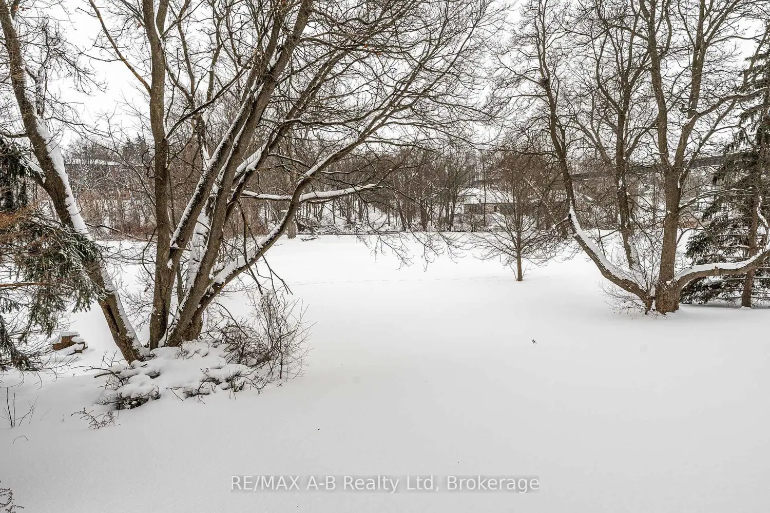 Additional image 14 of 332 Widder Street