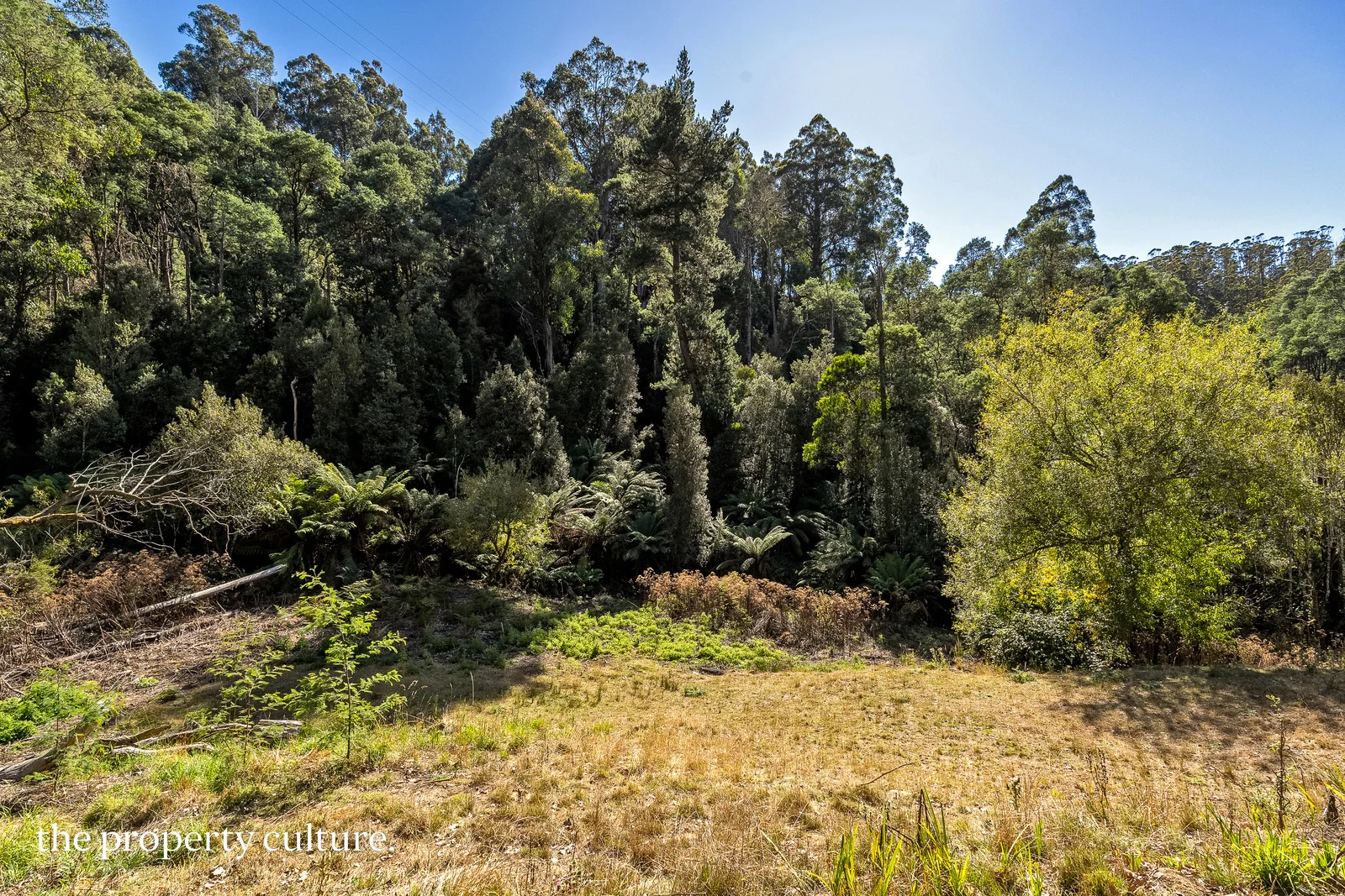 Additional image 15 of 126 New Road, Franklin TAS 7113