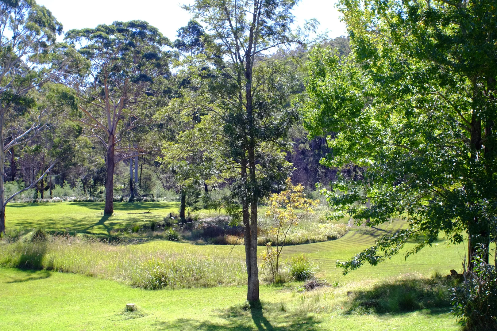 Additional image 21 of 1348C Old Princes Highway, Brooman NSW 2538