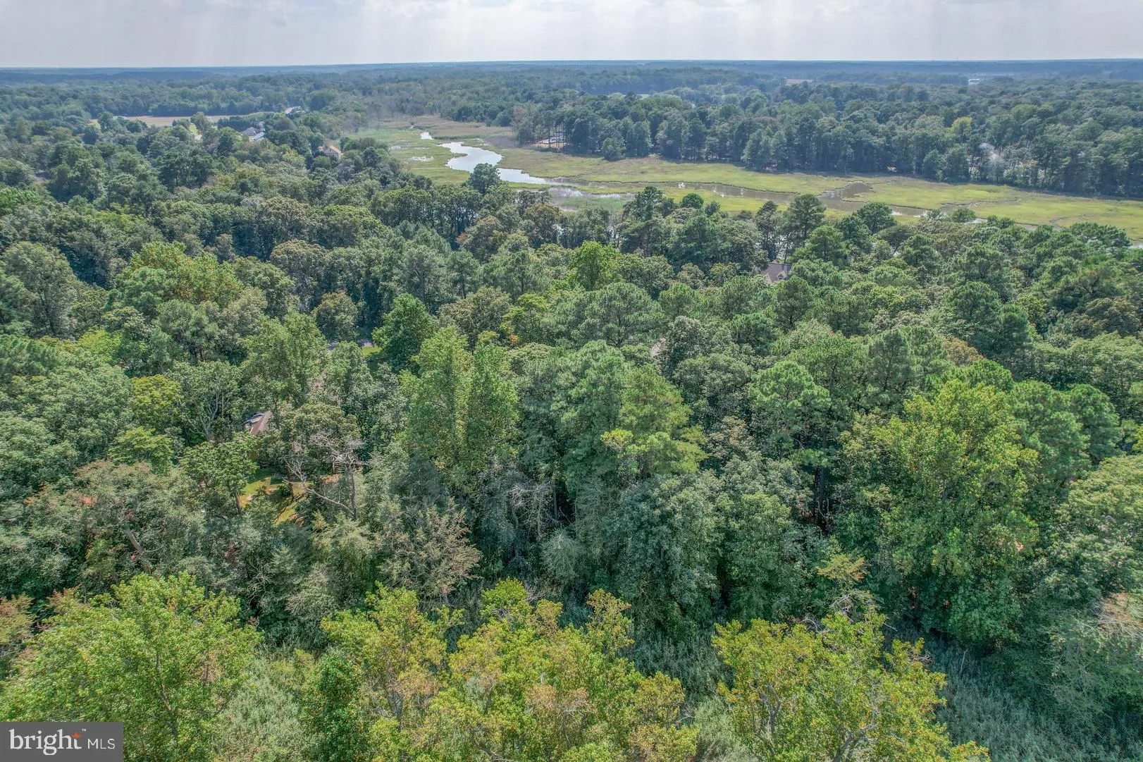 Additional image 47 of 10 Mallard Drive, Dagsboro, DE 19939