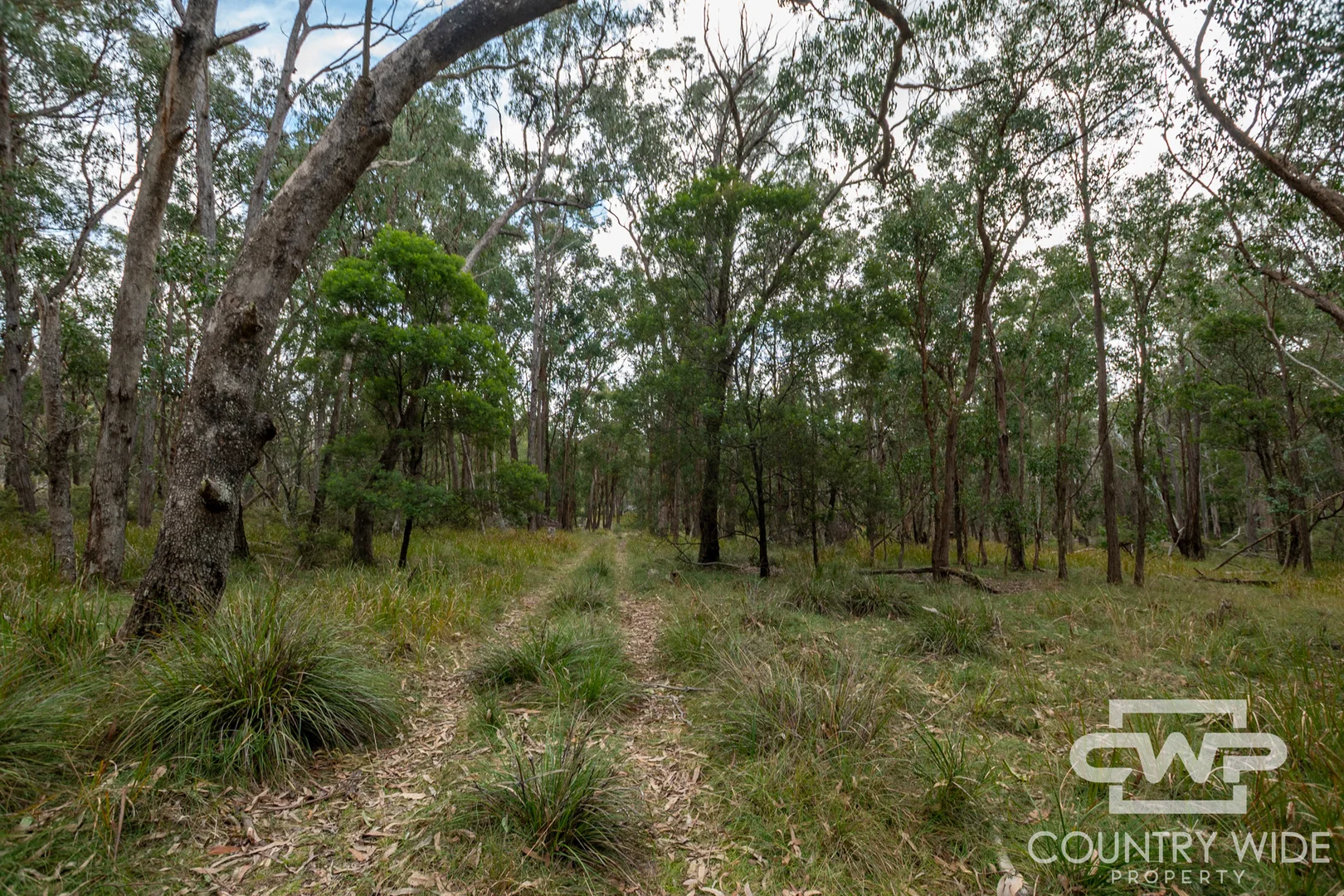 Additional image 6 of 10 Tablelands Road, Red Range NSW 2370