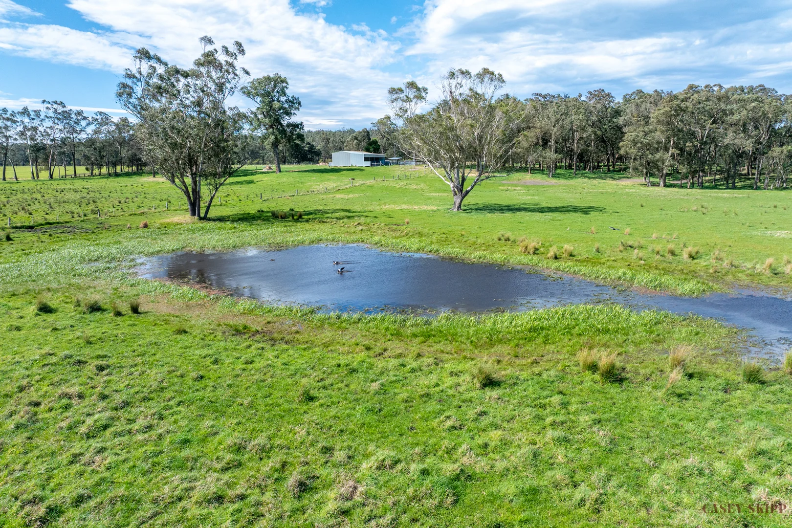 Additional image 14 of 366 Wairewa Road, Wairewa VIC 3887