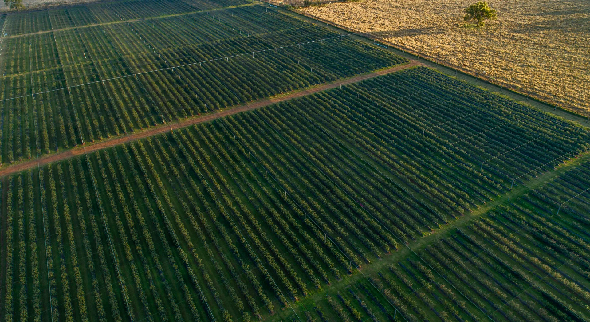 Additional image 16 of 991 Tabulam Road, Jacksons Flat NSW 2469