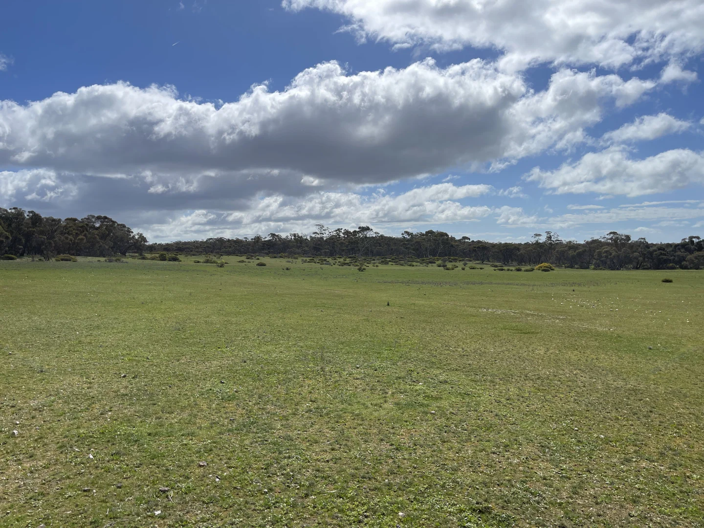 Additional image 23 of 6803 Calder Highway, Wedderburn VIC 3518