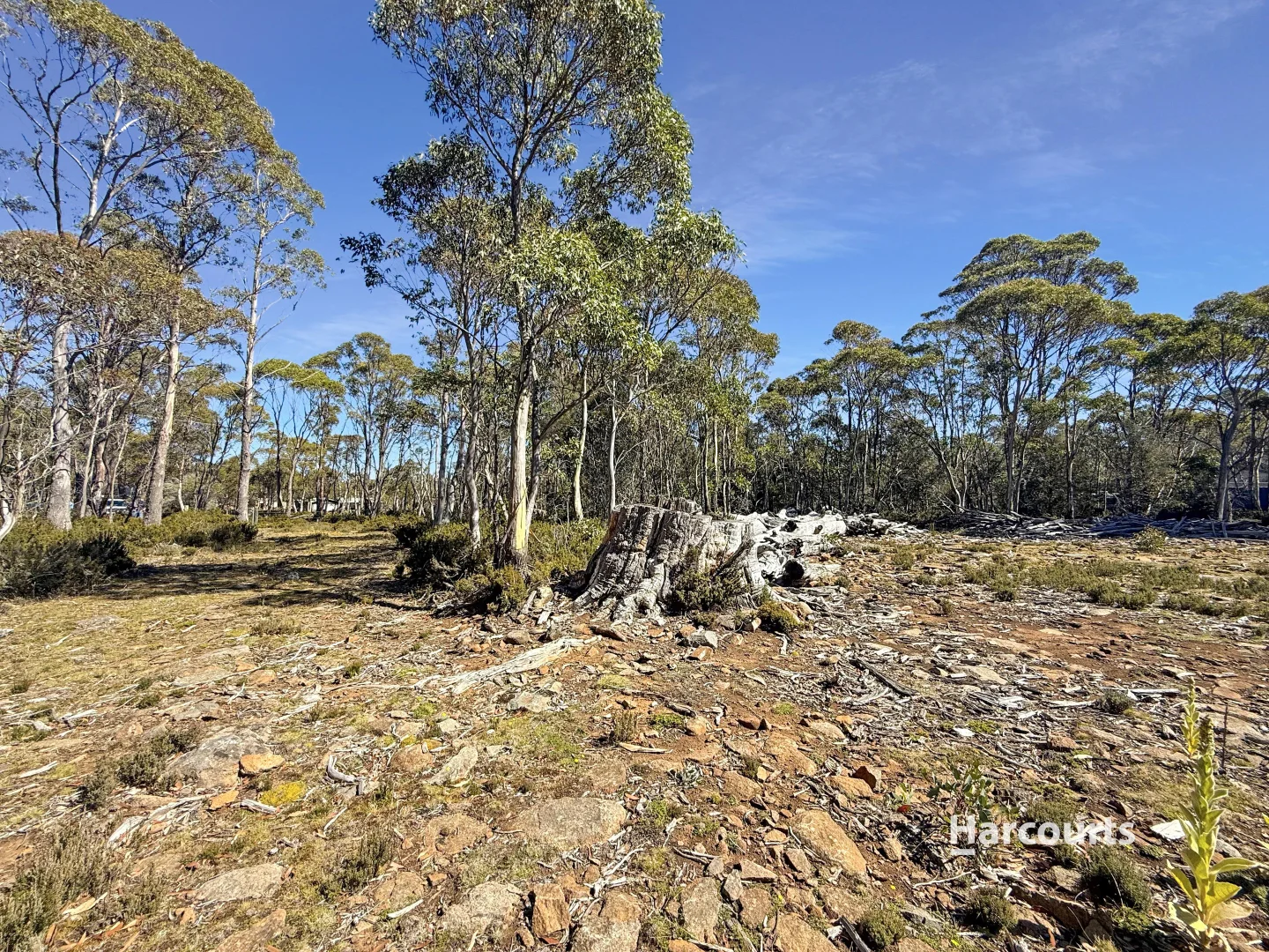 Additional image 5 of 711 Arthurs Lake Road, Arthurs Lake TAS 7030