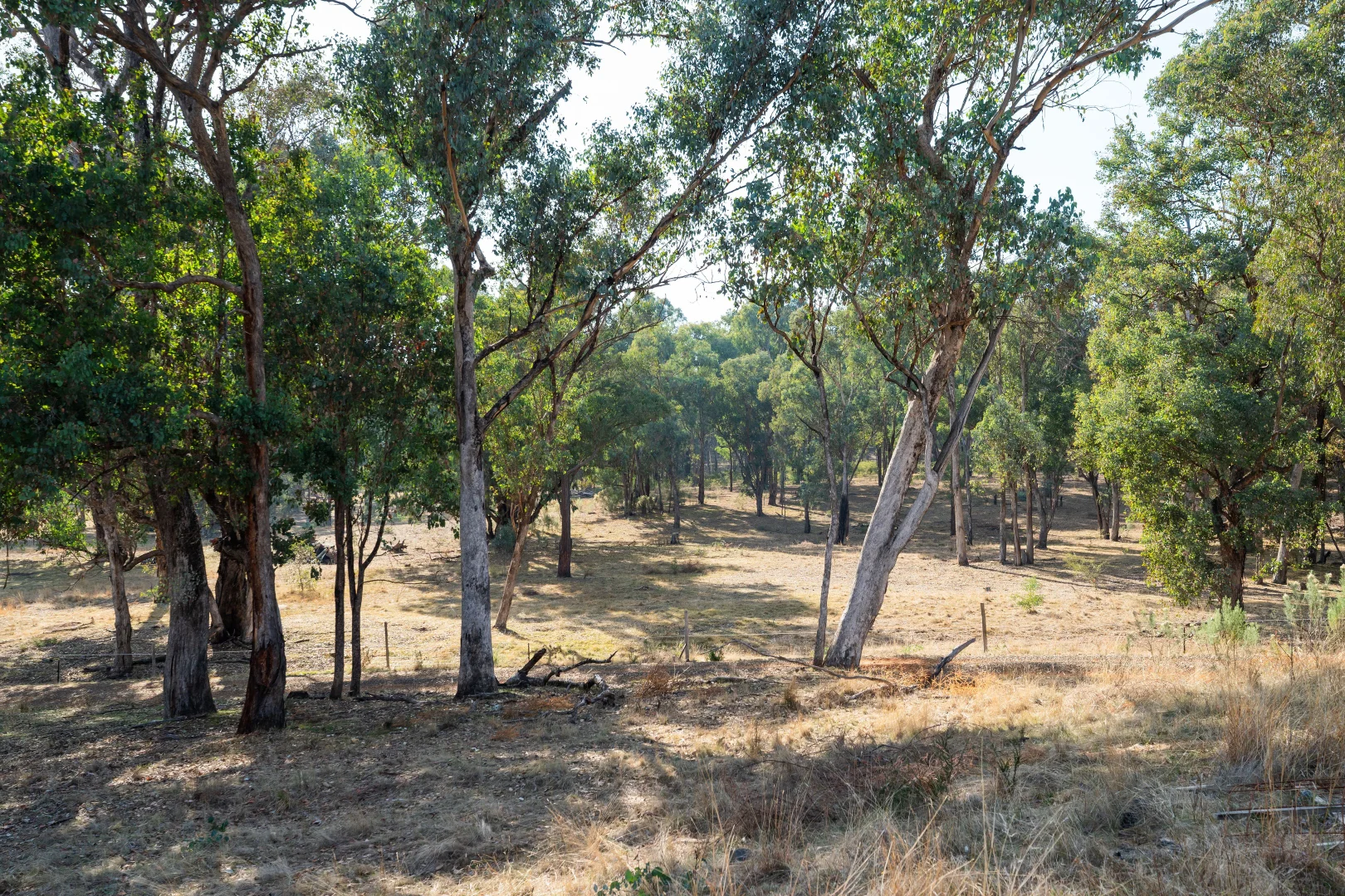 Additional image 14 of 979 Four Mile Lane, Little Billabong NSW 2644