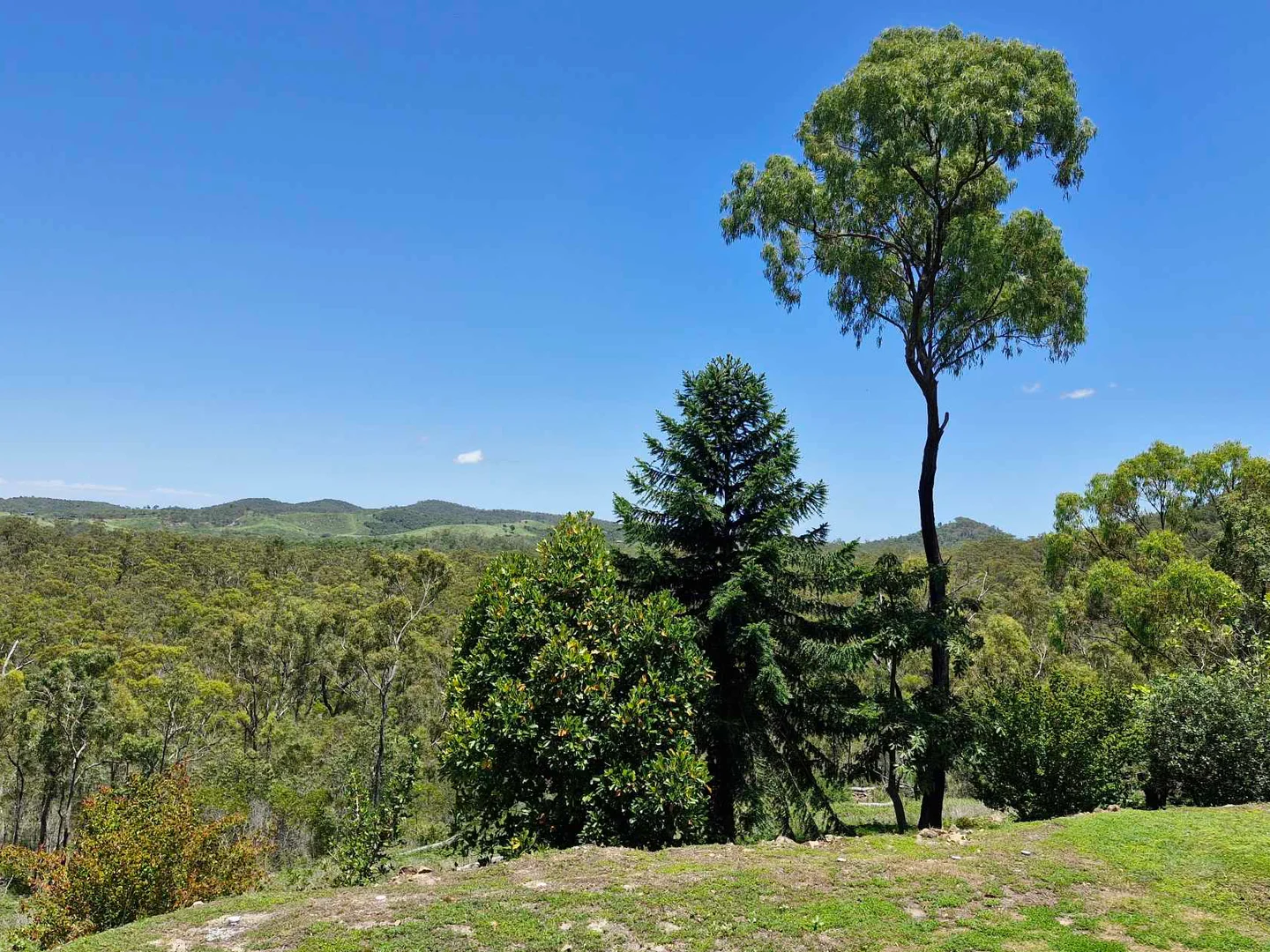 Additional image 19 of Mount Larcom QLD 4695