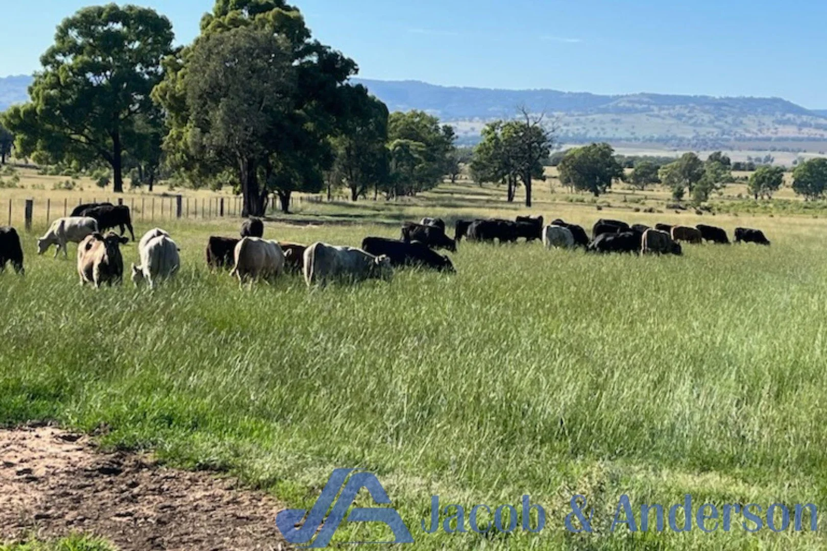 Additional image 8 of 188 Bullarook Road, Coolah NSW 2843