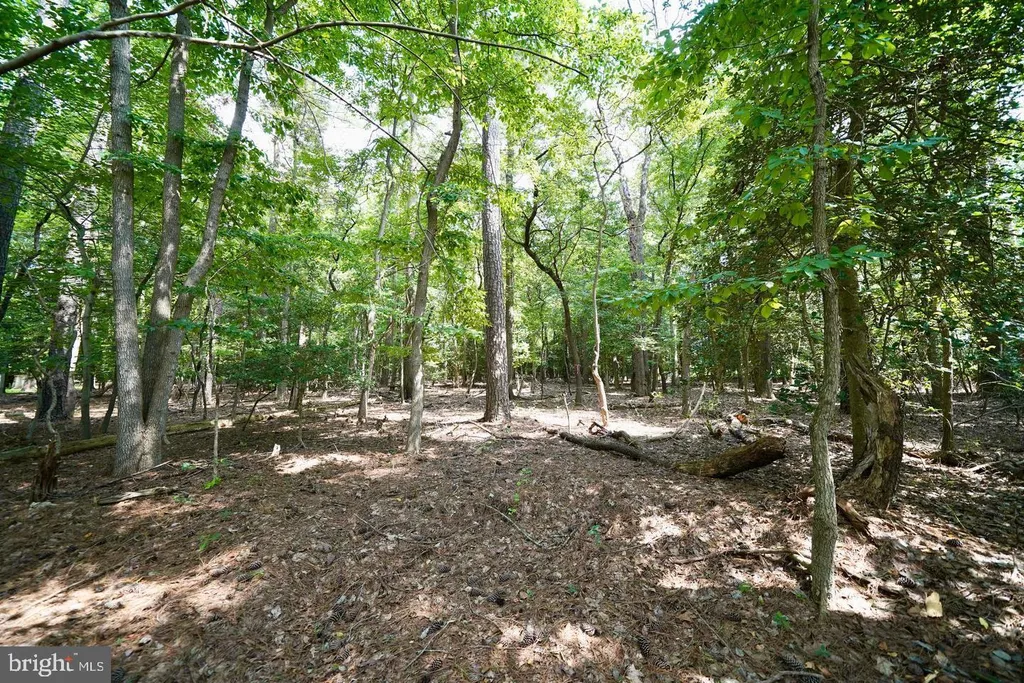 Additional image 10 of Lot 1 Mount Joy Road, Millsboro, DE 19966