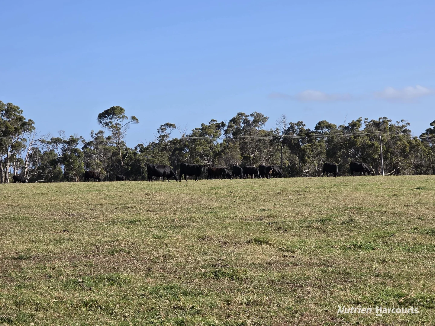 Additional image 31 of 1459 Millbrook Road, King River WA 6330