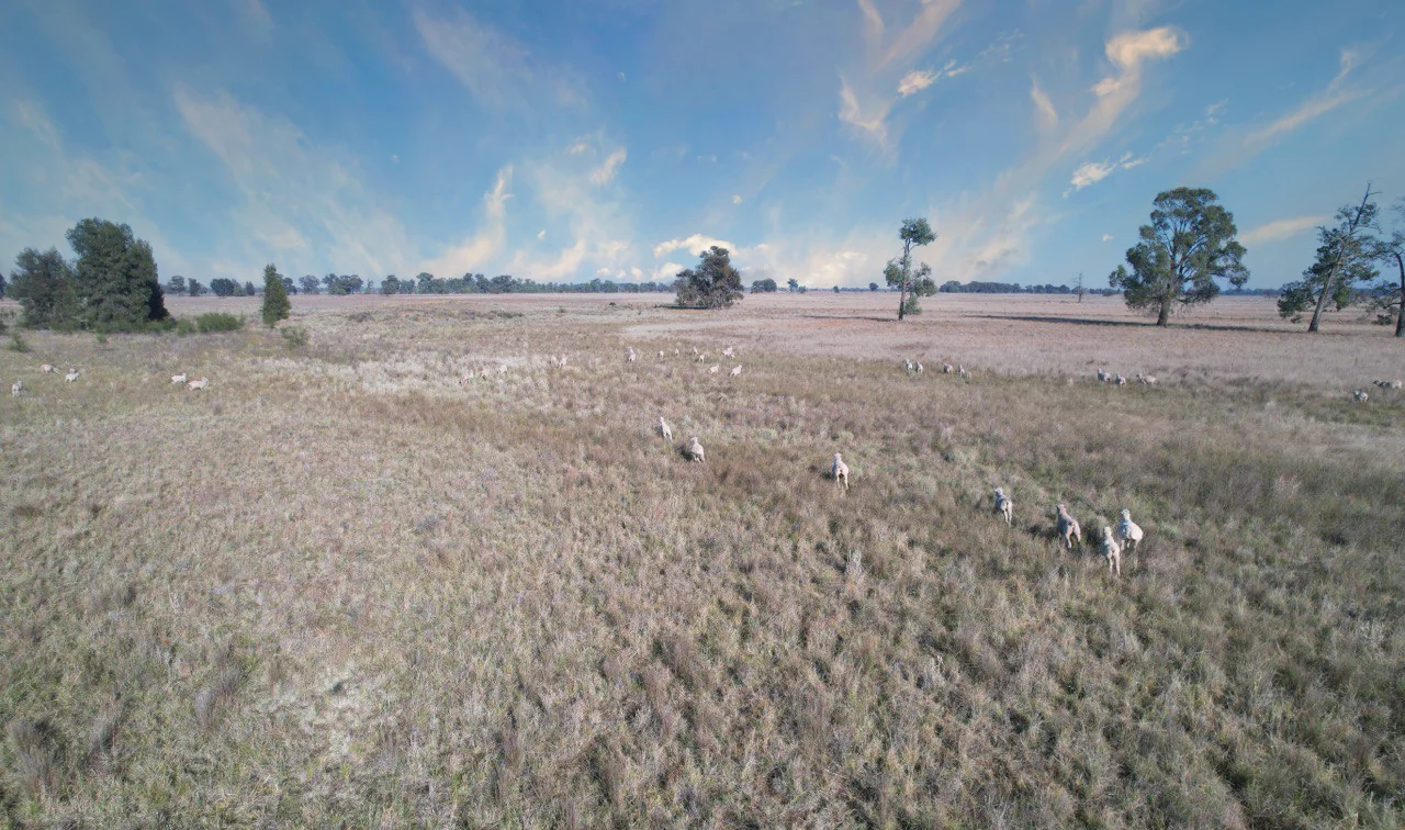 Additional image 4 of Part "Quamby" 605 Mccaskies Lane, Girral NSW 2669