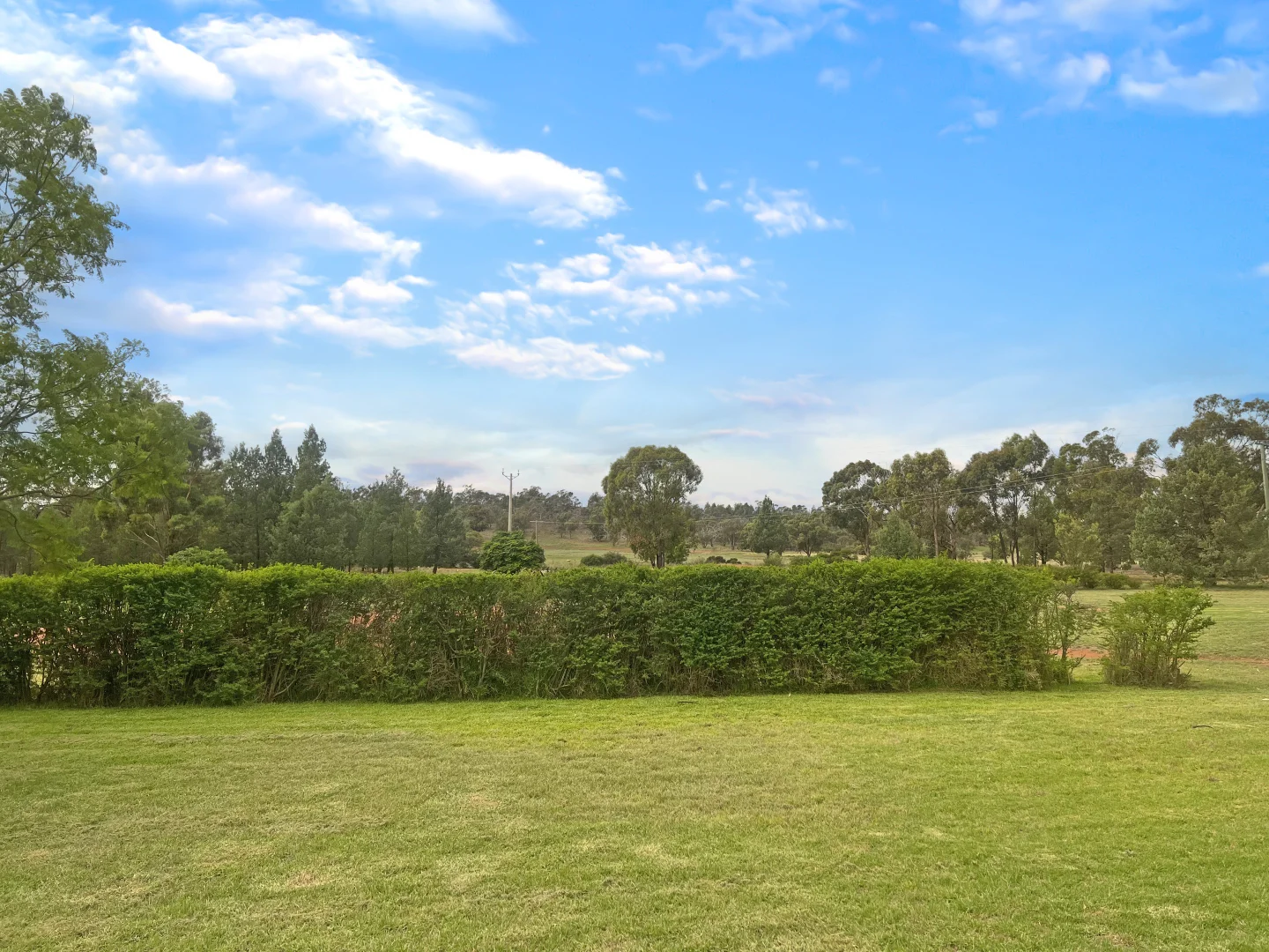 Additional image 14 of 331 Bygoo Road, Ardlethan NSW 2665