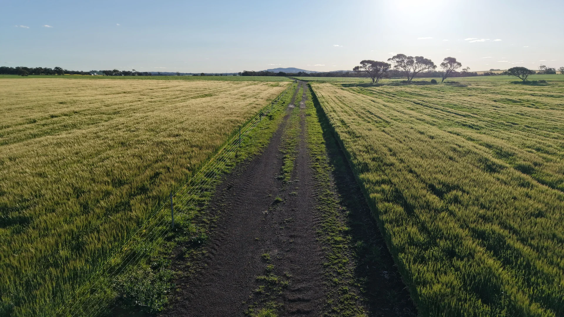 Additional image 19 of 491 Knight Road, Porongurup WA 6324